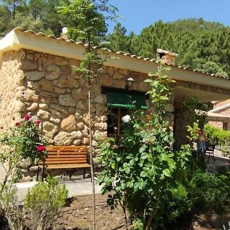 La Lobera Alojamiento Rural Riópar Exterior foto